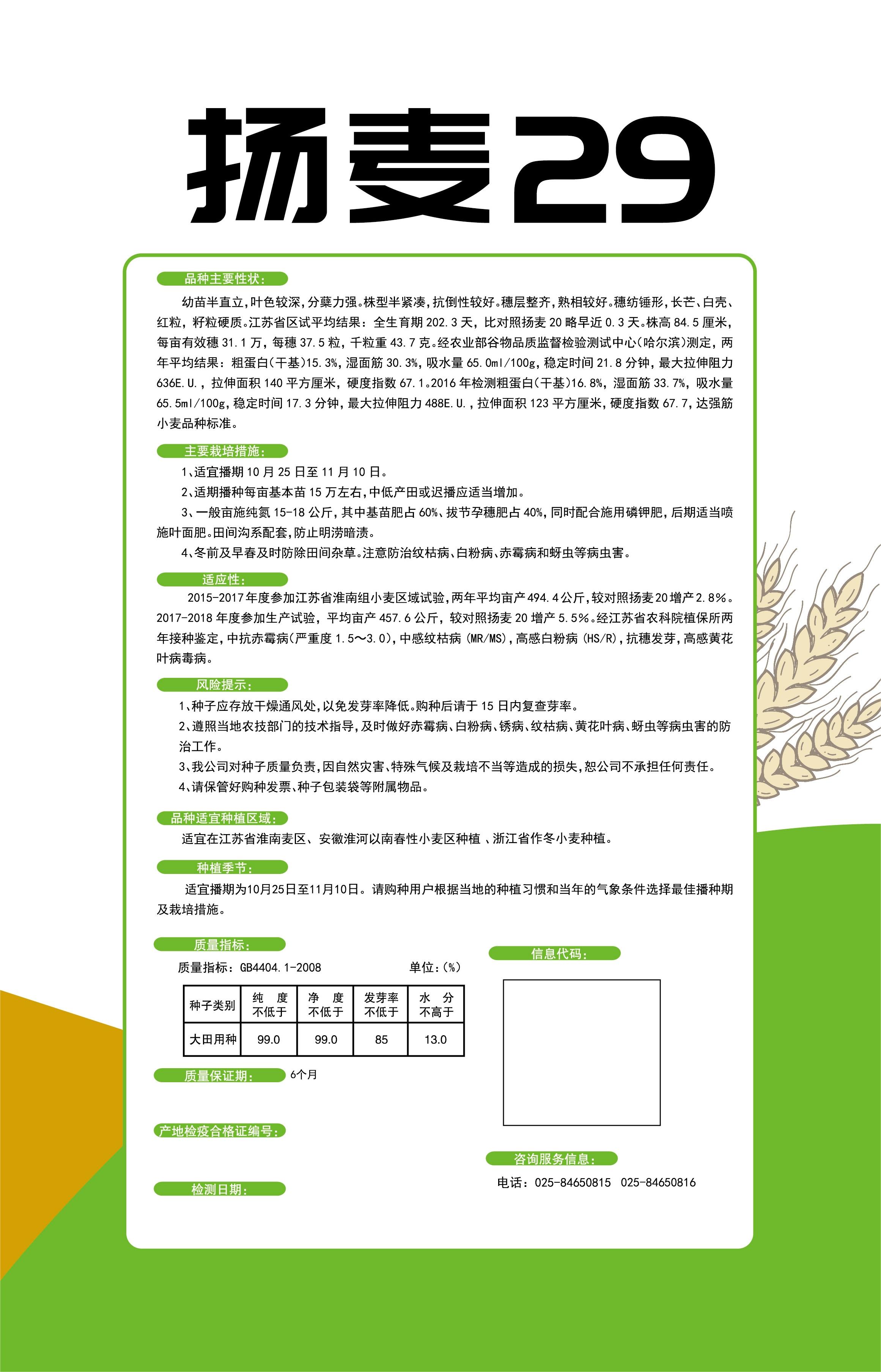 揚(yáng)麥29詳情頁(yè).jpg